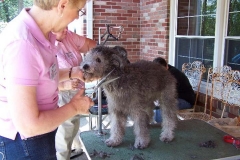 GroomingDay1