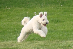 DSC01155