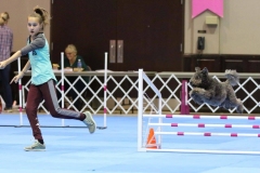 Agility2