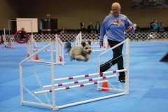 Agility3