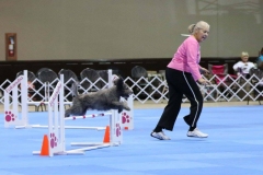 Agility4