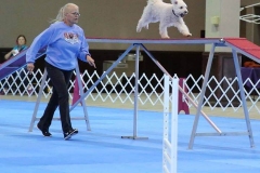 Agility5