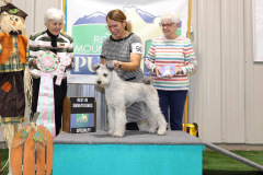 Best in Sweepstakes (National)