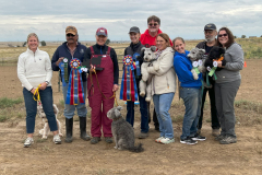 Herding Instinct Certificats & HIT