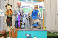 Winners Dog, Best of Winners, BOS Sweepstakes (Regional)