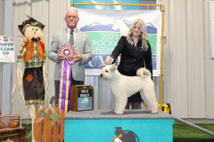 Best of Breed (Regional)