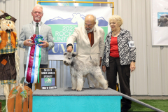 Select Bitch, NOHS Best of Breed, Best BBE (Regional)