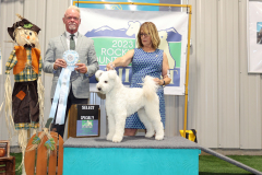 Select Dog (Regional)