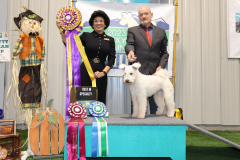 Best of Breed, NOHS BOB, Best BBE (National)